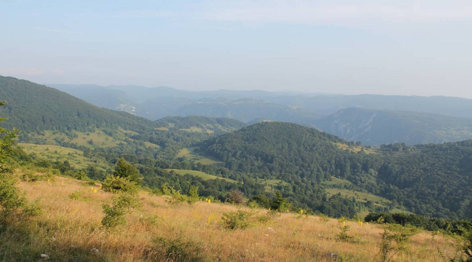 Lovište Orlovica